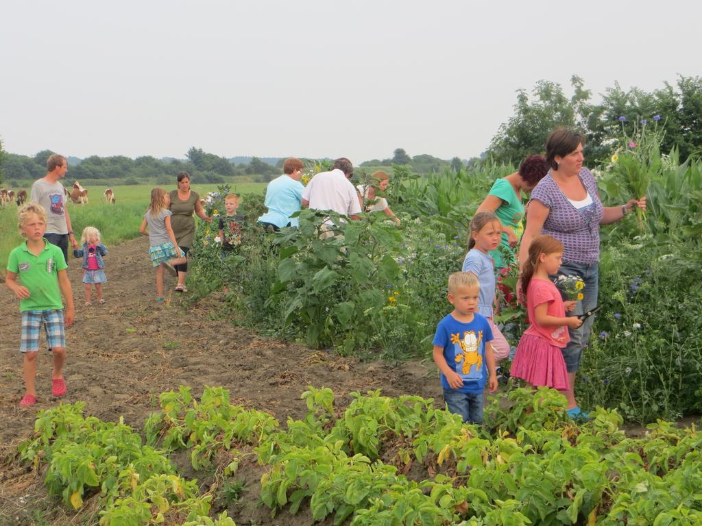 Boerderijcamping Plantlust Вере Номер фото